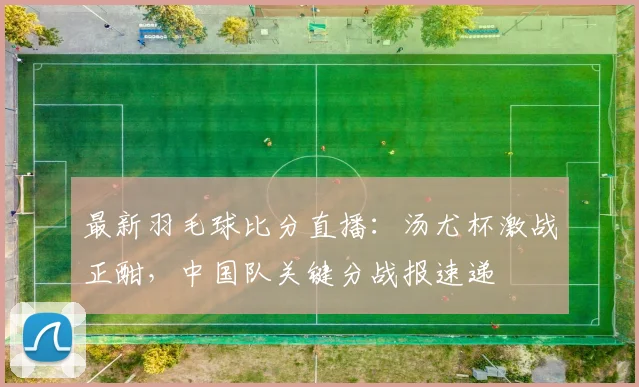 最新羽毛球比分直播：汤尤杯激战正酣，中国队关键分战报速递